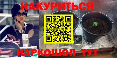 трава Будённовск